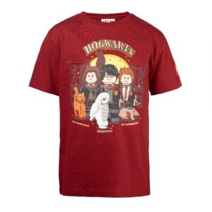 Harry Potter T-shirt - bordeauxrood 5008032