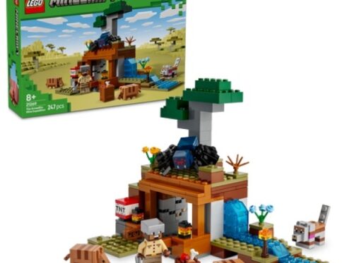 LEGO 21269 De Gordeldieren bij de Mijn