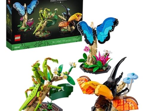 LEGO 21342 De Insecten Collectie