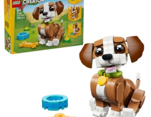 LEGO 31382 Speelse Puppy