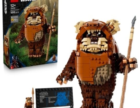 LEGO 75430 Wicket the Ewok