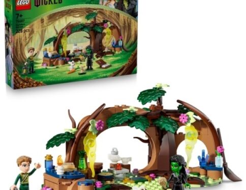 LEGO 75687 Elphaba’s Schuilhut