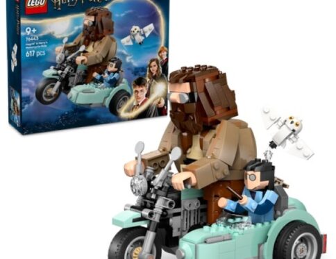 LEGO 76443 Hagrid en Harry’s Rit op de Motor
