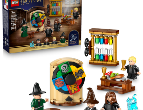 LEGO 76460 Sorteerhoedceremonie