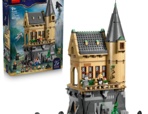 LEGO 76463 Ziekenzaal van Kasteel Zweinstein