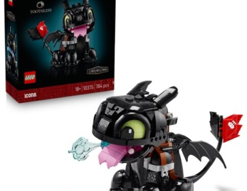 LEGO 10375 Hoe Tem Je Een Draak: Tandloos