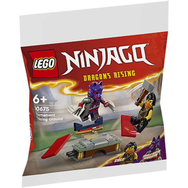 LEGO 30675 Toernooi Trainingsveld (Polybag)