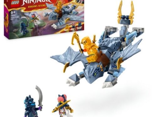 LEGO 71810 Jonge Draak Riyu