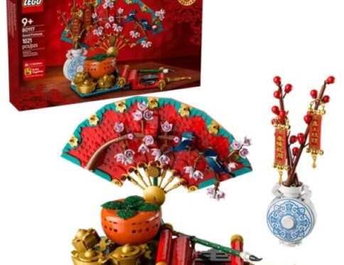 LEGO 80117 Voorspoed