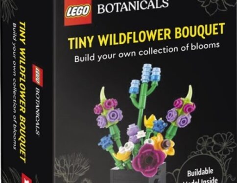 LEGO Botanicals  Tiny Wildflower Bouquet