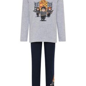 LEGO Pyjama Harry Potter LICHTGRIJS (LWALEX 720 - Maat 116)